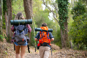 Wandergruppe in Wald